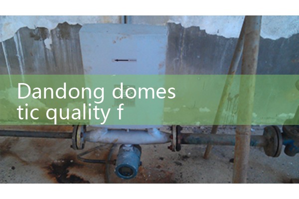 Dandong domestic quality flowmeter manufacturer